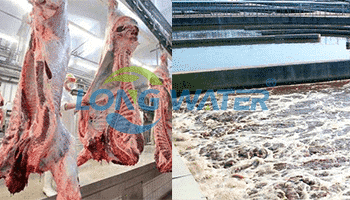 Meat & Slaughter WasteWater